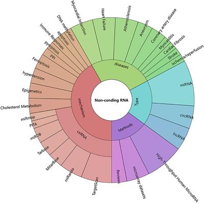 Editorial: Non-coding RNA and Coronary Heart Disease